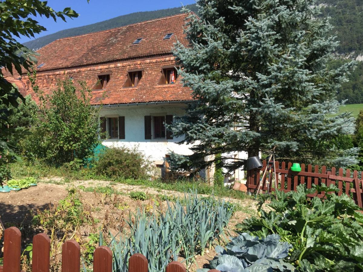 Chez Dodo 2534 Orvin Le Foncet Bed & Breakfast Evilard Exterior photo